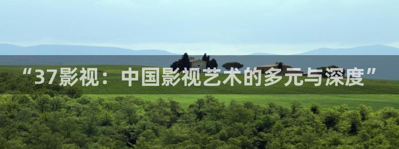 缘分的天空免费在线观看：“37影视：中国影视艺术的多元与深度”