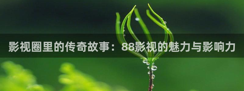杭州天空藤集：影视圈里的传奇故事：88影视的魅力与影响力