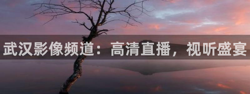 天空在线观看全集